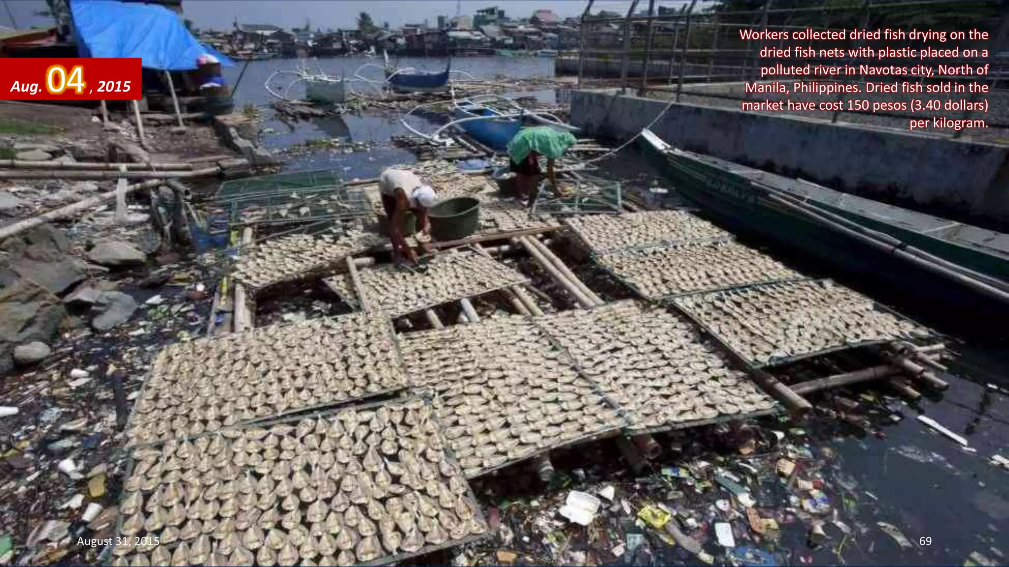 Workers collected dried fish drying on the
dried fish nets with plastic placed on a
polluted river in Navotas city, North of
Manila, Philippines. Dried fish sold in the
market have cost 150 pesos (3.40 dollars)
per kilogram.
Aug. 04, 2015
August 31, 2015 69
 