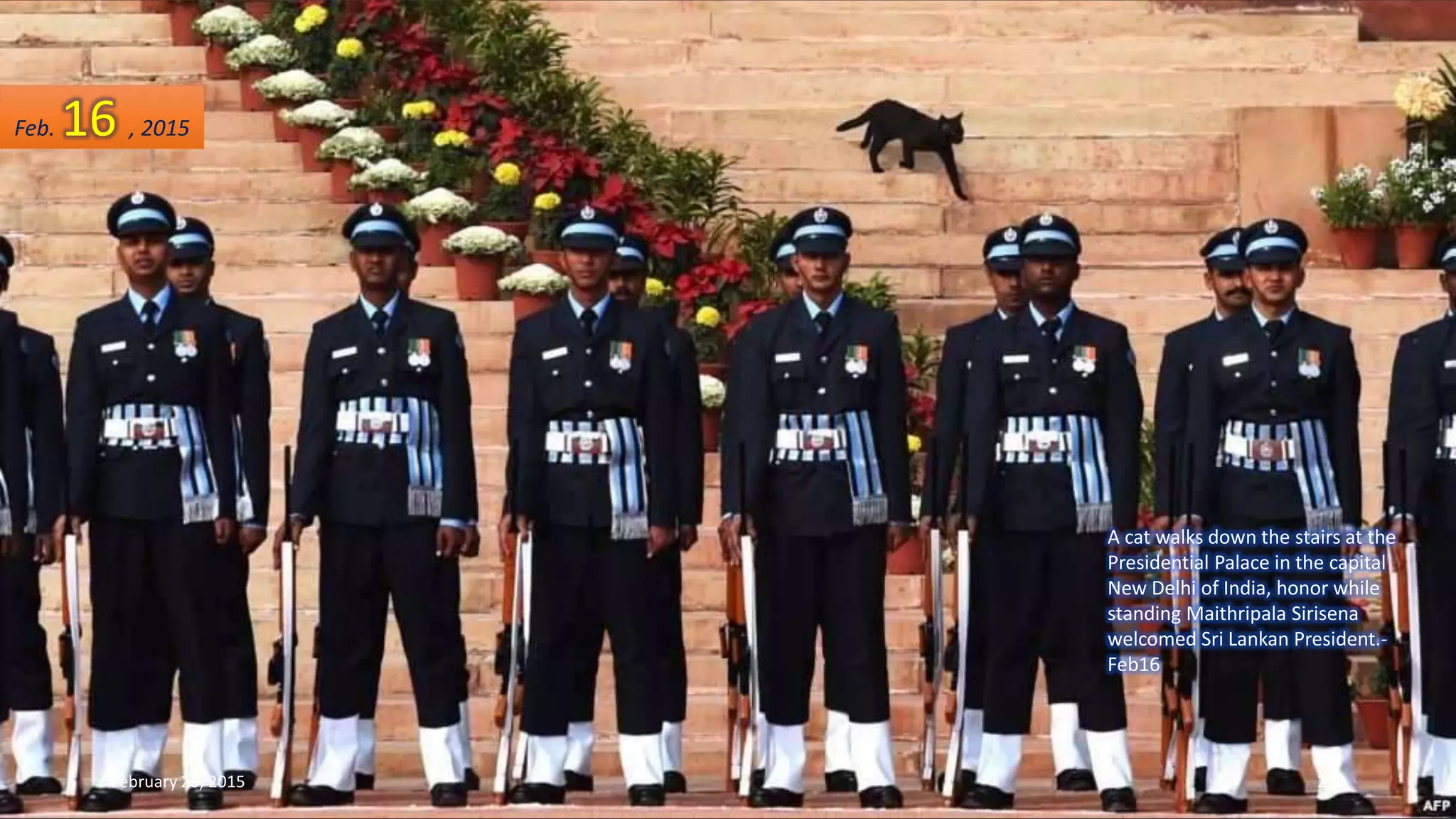 A cat walks down the stairs at the
Presidential Palace in the capital
New Delhi of India, honor while
standing Maithripala Sirisena
welcomed Sri Lankan President.-
Feb16
February 26, 2015 289
Feb. 16 , 2015
 