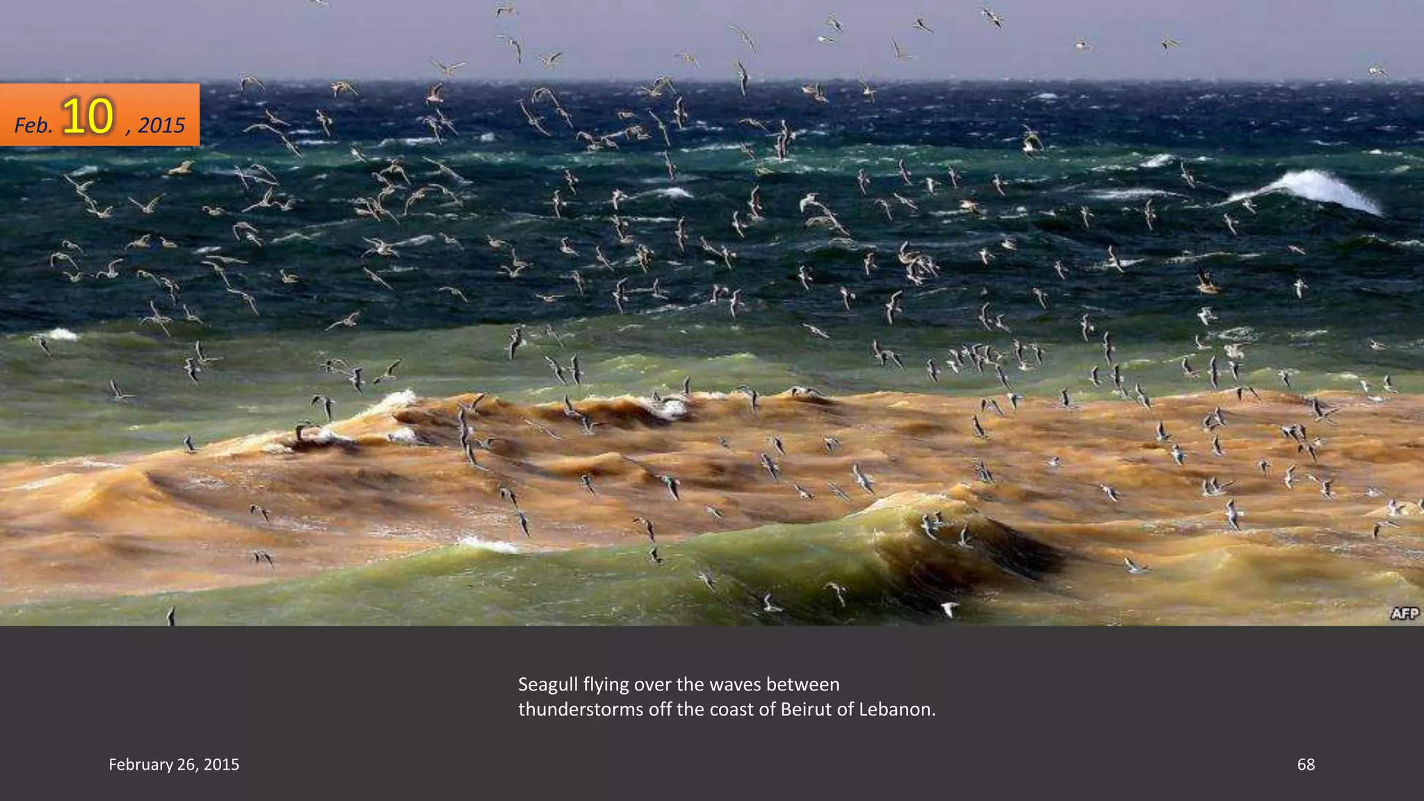 Seagull flying over the waves between
thunderstorms off the coast of Beirut of Lebanon.
Feb. 10 , 2015
February 26, 2015 68
 
