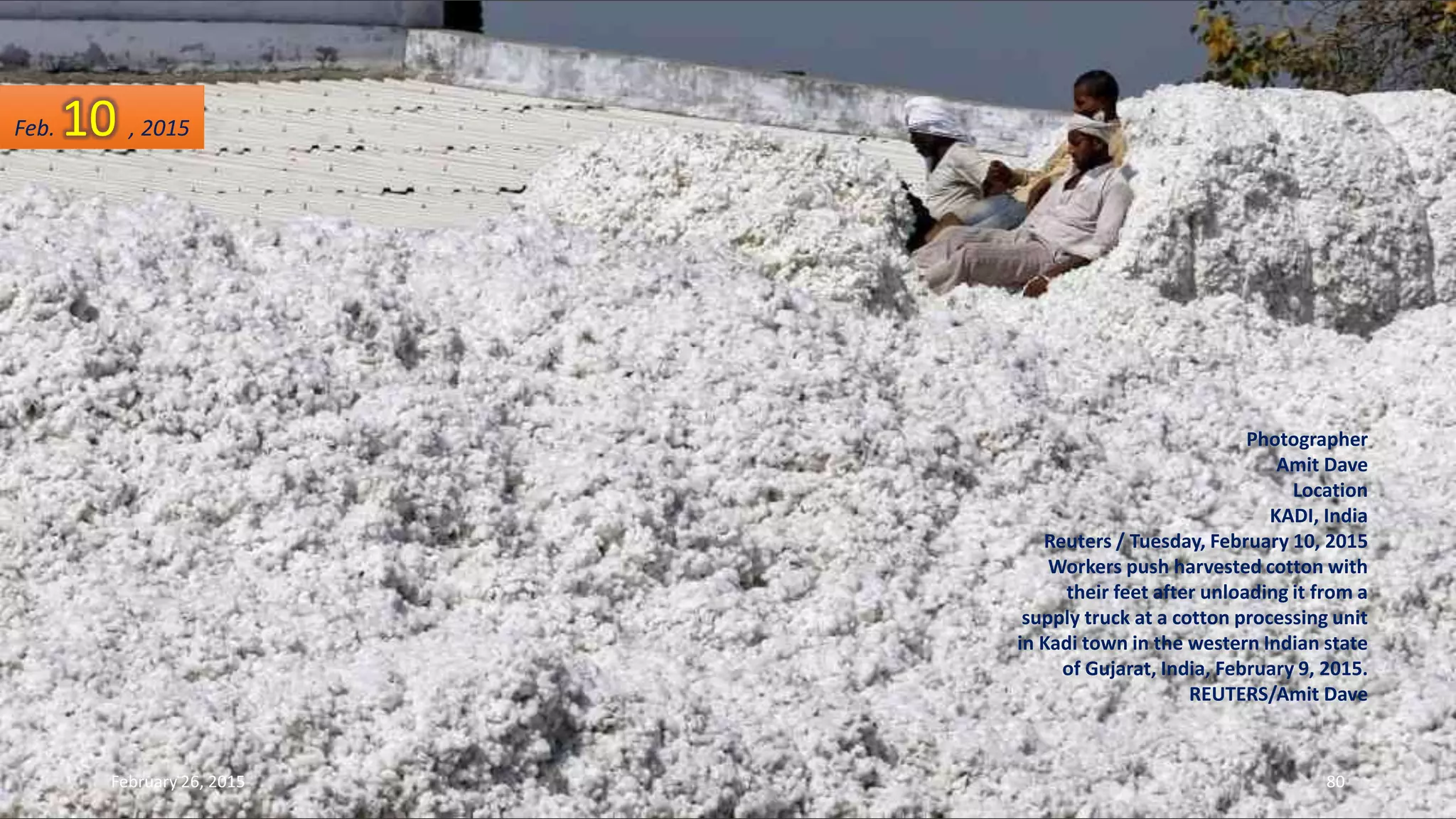 Photographer
Amit Dave
Location
KADI, India
Reuters / Tuesday, February 10, 2015
Workers push harvested cotton with
their feet after unloading it from a
supply truck at a cotton processing unit
in Kadi town in the western Indian state
of Gujarat, India, February 9, 2015.
REUTERS/Amit Dave
Feb. 10 , 2015
February 26, 2015 80
 