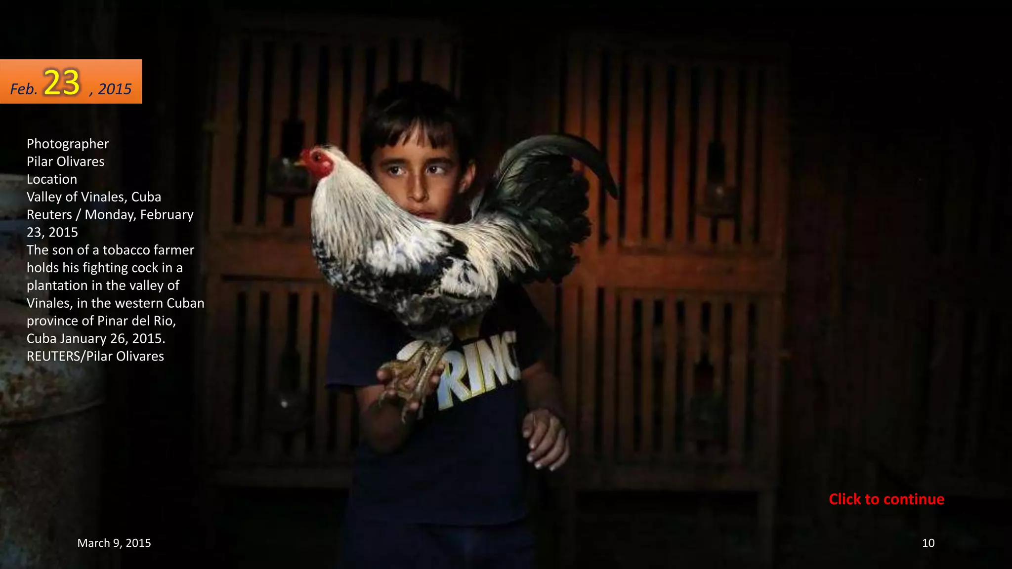 Photographer
Pilar Olivares
Location
Valley of Vinales, Cuba
Reuters / Monday, February
23, 2015
The son of a tobacco farmer
holds his fighting cock in a
plantation in the valley of
Vinales, in the western Cuban
province of Pinar del Rio,
Cuba January 26, 2015.
REUTERS/Pilar Olivares
Feb. 23 , 2015
March 9, 2015 10
Click to continue
 
