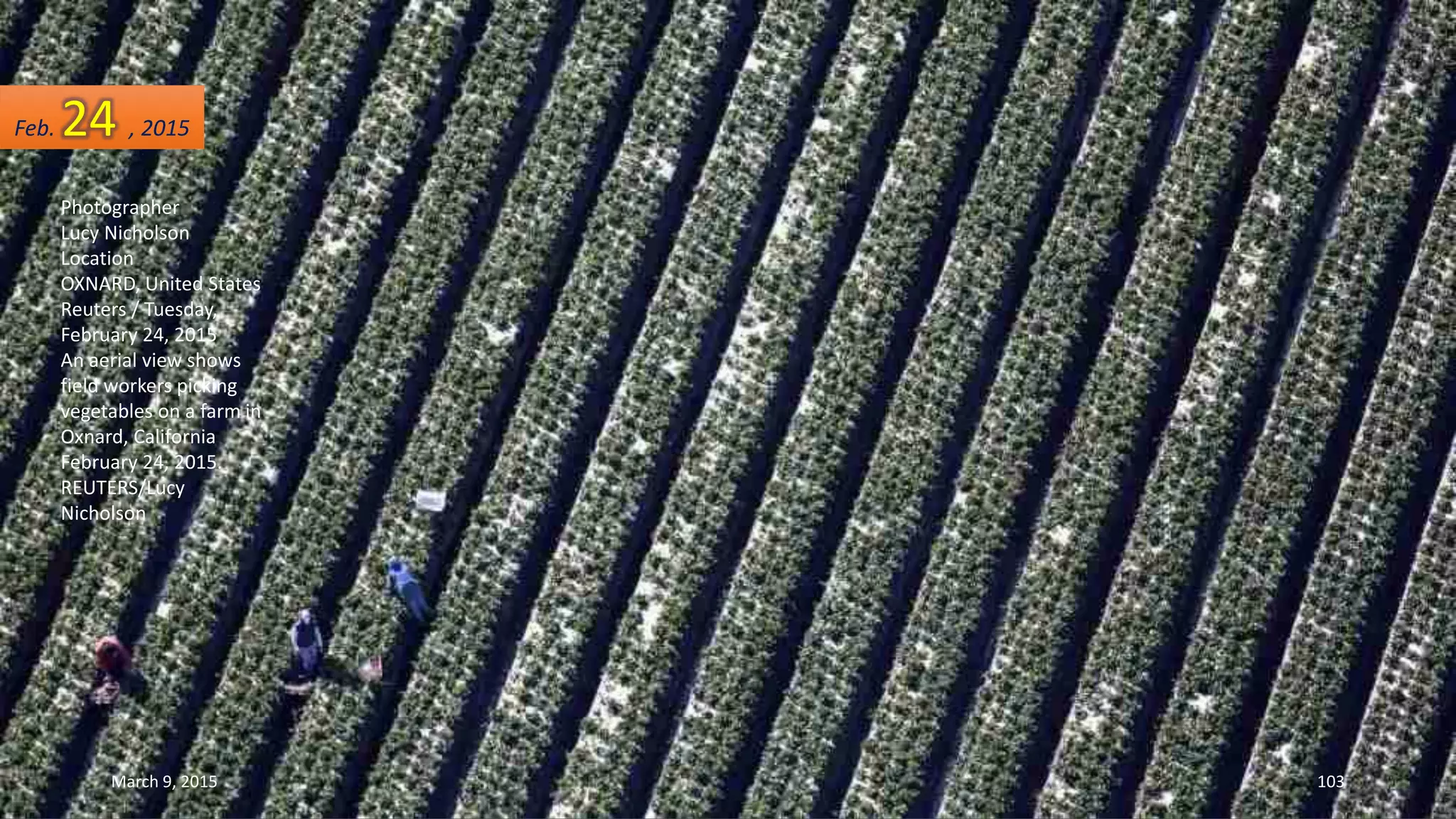Photographer
Lucy Nicholson
Location
OXNARD, United States
Reuters / Tuesday,
February 24, 2015
An aerial view shows
field workers picking
vegetables on a farm in
Oxnard, California
February 24, 2015.
REUTERS/Lucy
Nicholson
Feb. 24 , 2015
March 9, 2015 103
 