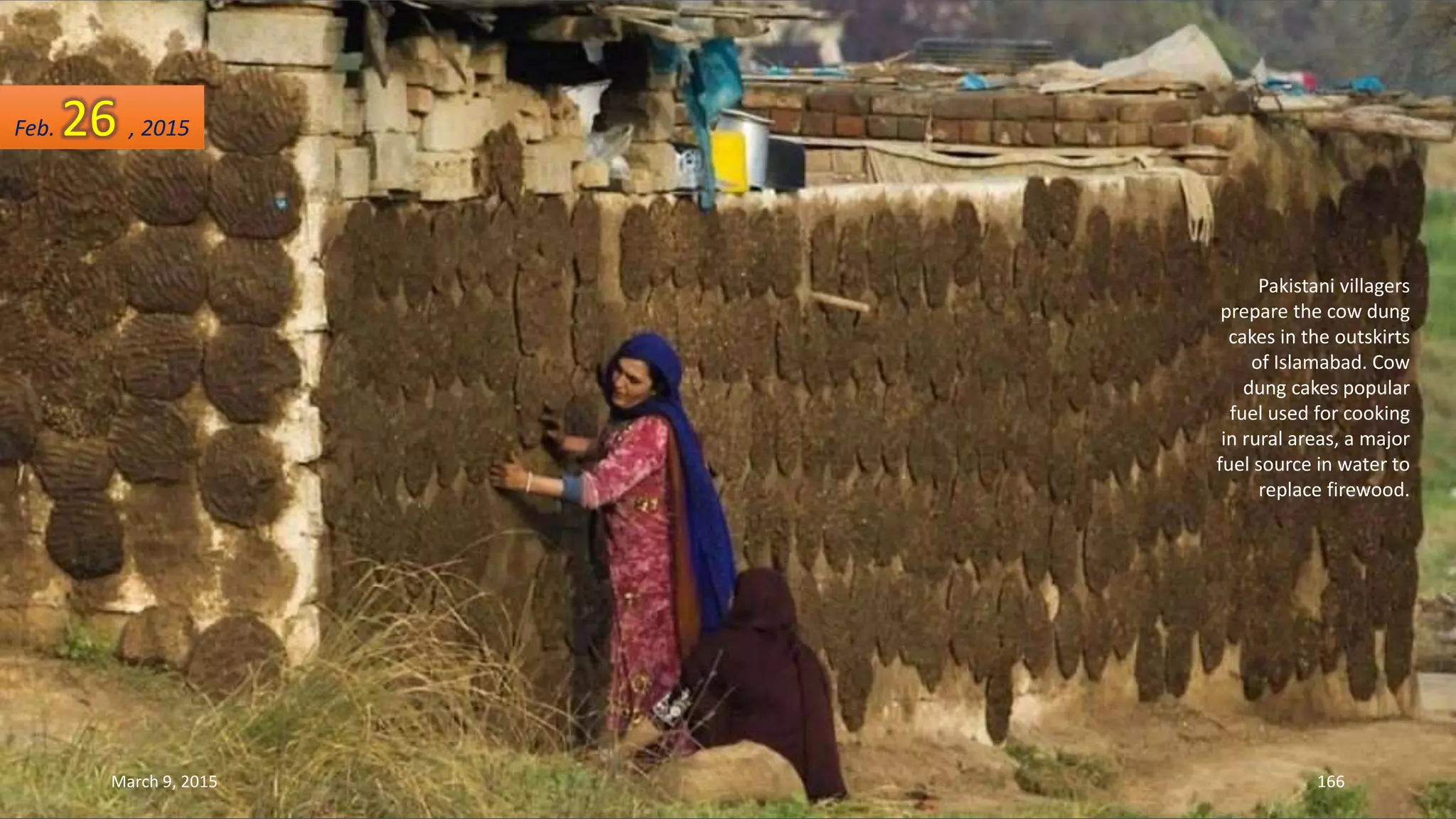Pakistani villagers
prepare the cow dung
cakes in the outskirts
of Islamabad. Cow
dung cakes popular
fuel used for cooking
in rural areas, a major
fuel source in water to
replace firewood.
Feb. 26 , 2015
March 9, 2015 166
 
