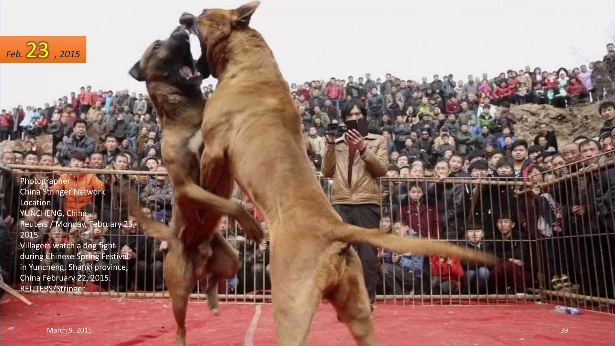 Photographer
China Stringer Network
Location
YUNCHENG, China
Reuters / Monday, February 23,
2015
Villagers watch a dog fight
during Chinese Spring Festival
in Yuncheng, Shanxi province,
China February 22, 2015.
REUTERS/Stringer
Feb. 23 , 2015
March 9, 2015 39
 