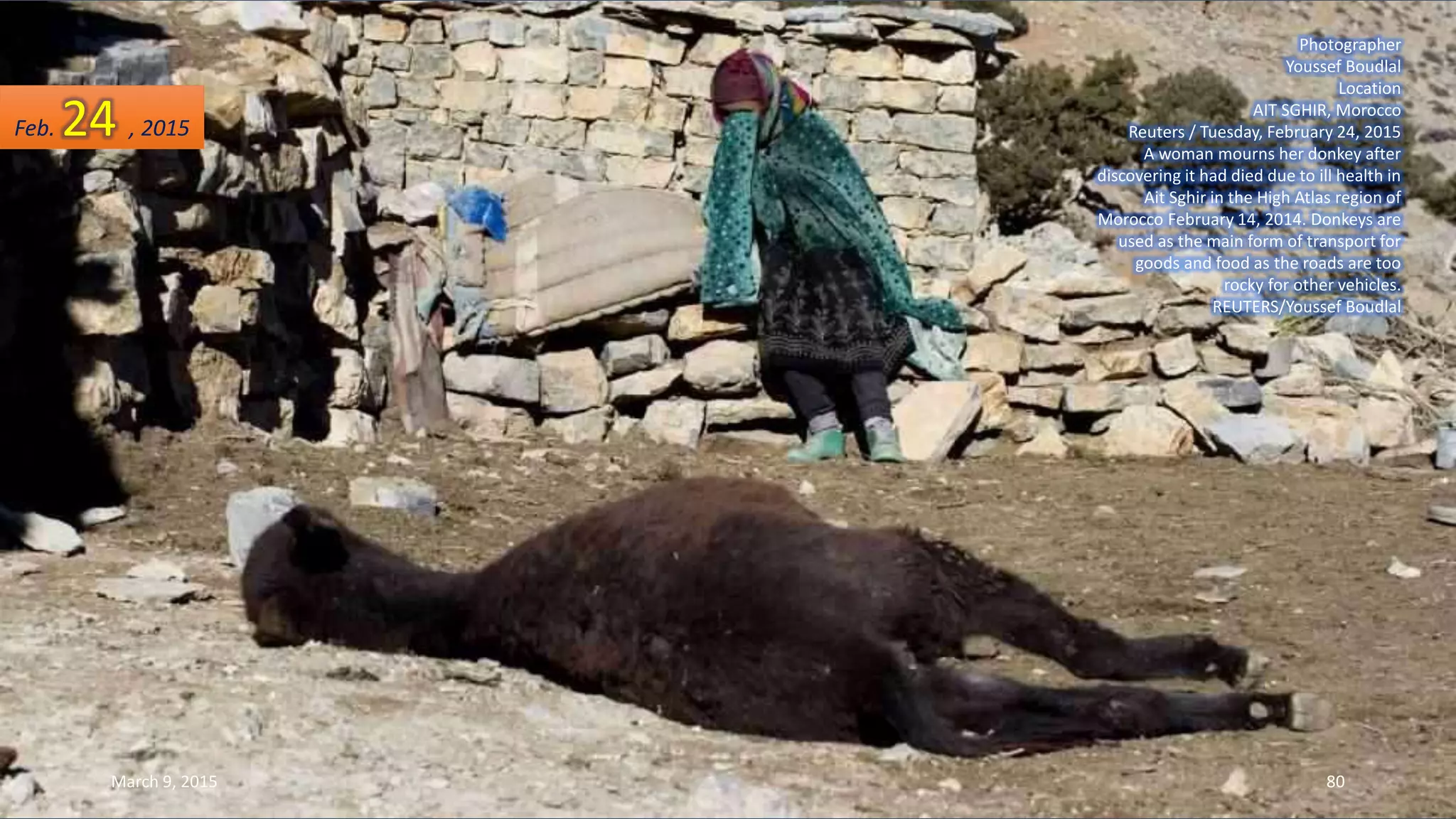 Photographer
Youssef Boudlal
Location
AIT SGHIR, Morocco
Reuters / Tuesday, February 24, 2015
A woman mourns her donkey after
discovering it had died due to ill health in
Ait Sghir in the High Atlas region of
Morocco February 14, 2014. Donkeys are
used as the main form of transport for
goods and food as the roads are too
rocky for other vehicles.
REUTERS/Youssef Boudlal
Feb. 24 , 2015
March 9, 2015 80
 