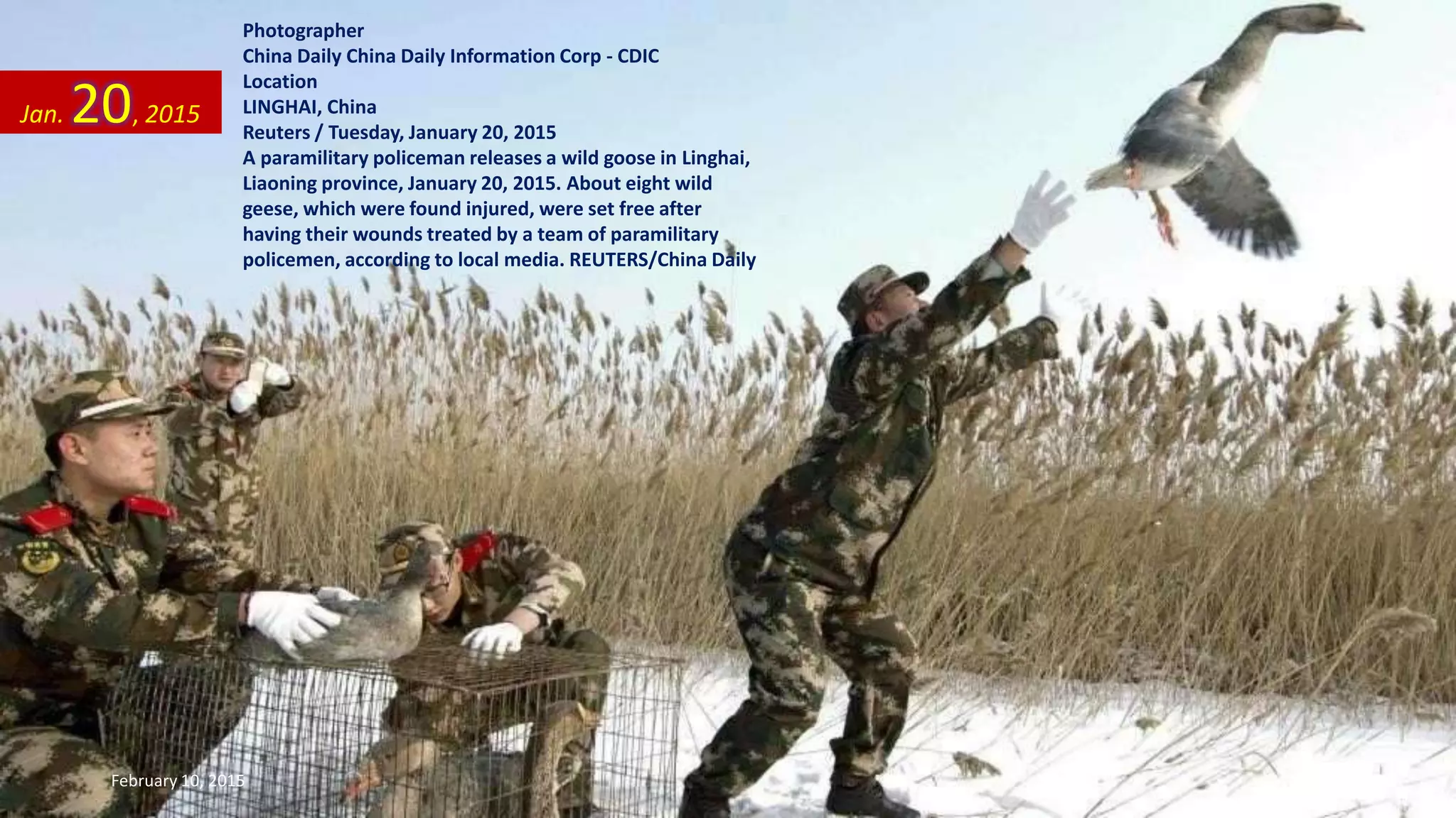 Photographer
China Daily China Daily Information Corp - CDIC
Location
LINGHAI, China
Reuters / Tuesday, January 20, 2015
A paramilitary policeman releases a wild goose in Linghai,
Liaoning province, January 20, 2015. About eight wild
geese, which were found injured, were set free after
having their wounds treated by a team of paramilitary
policemen, according to local media. REUTERS/China Daily
Jan. 20, 2015
February 10, 2015 164
 