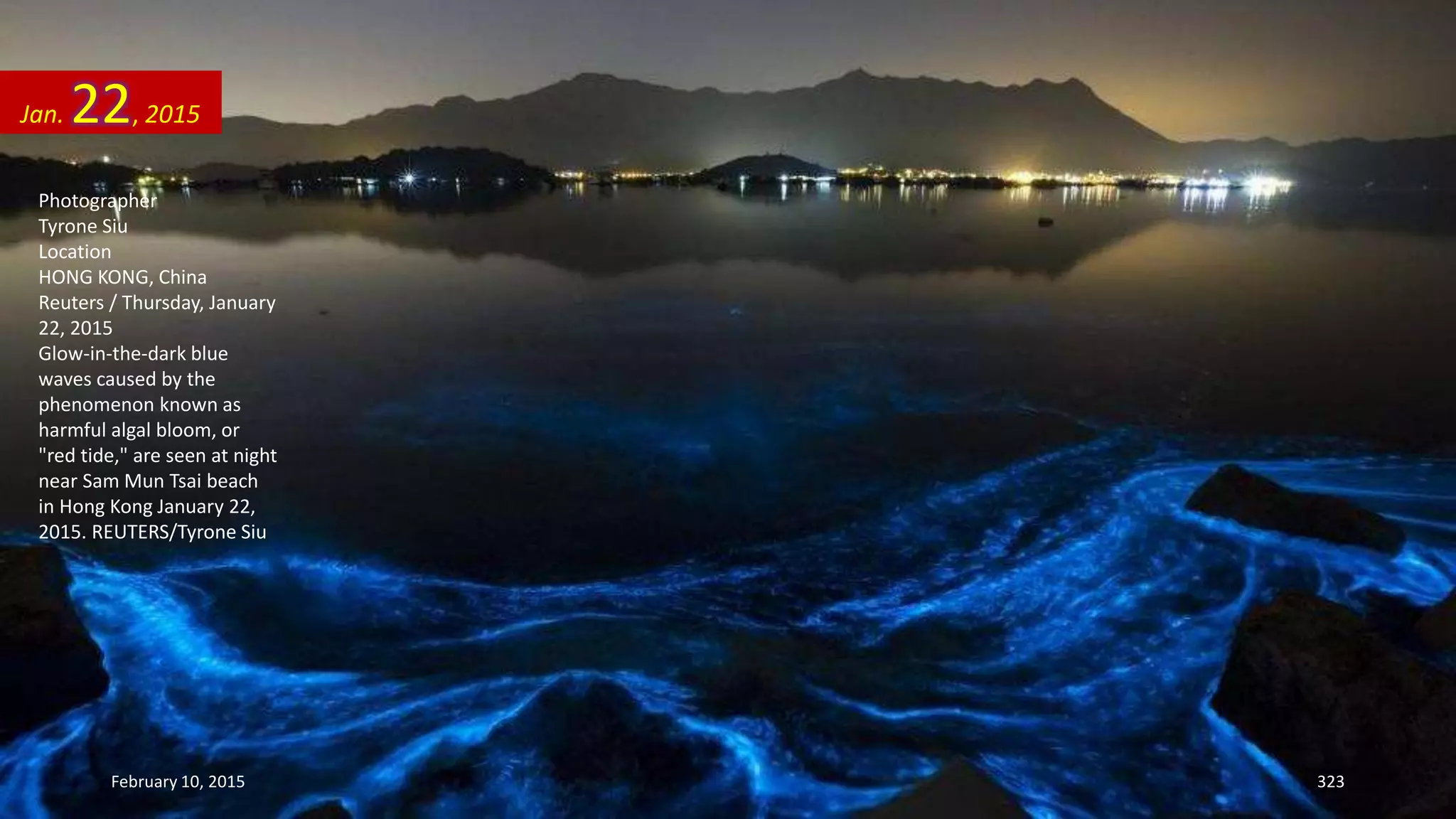 Photographer
Tyrone Siu
Location
HONG KONG, China
Reuters / Thursday, January
22, 2015
Glow-in-the-dark blue
waves caused by the
phenomenon known as
harmful algal bloom, or
"red tide," are seen at night
near Sam Mun Tsai beach
in Hong Kong January 22,
2015. REUTERS/Tyrone Siu
Jan. 22, 2015
February 10, 2015 323
 