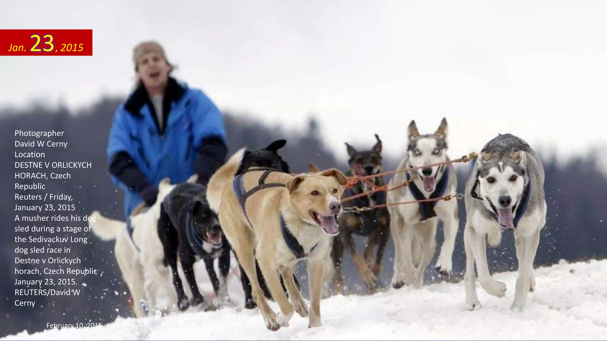 Photographer
David W Cerny
Location
DESTNE V ORLICKYCH
HORACH, Czech
Republic
Reuters / Friday,
January 23, 2015
A musher rides his dog
sled during a stage of
the Sedivackuv Long
dog sled race in
Destne v Orlickych
horach, Czech Republic
January 23, 2015.
REUTERS/David W
Cerny
Jan. 23, 2015
February 10, 2015 355
 