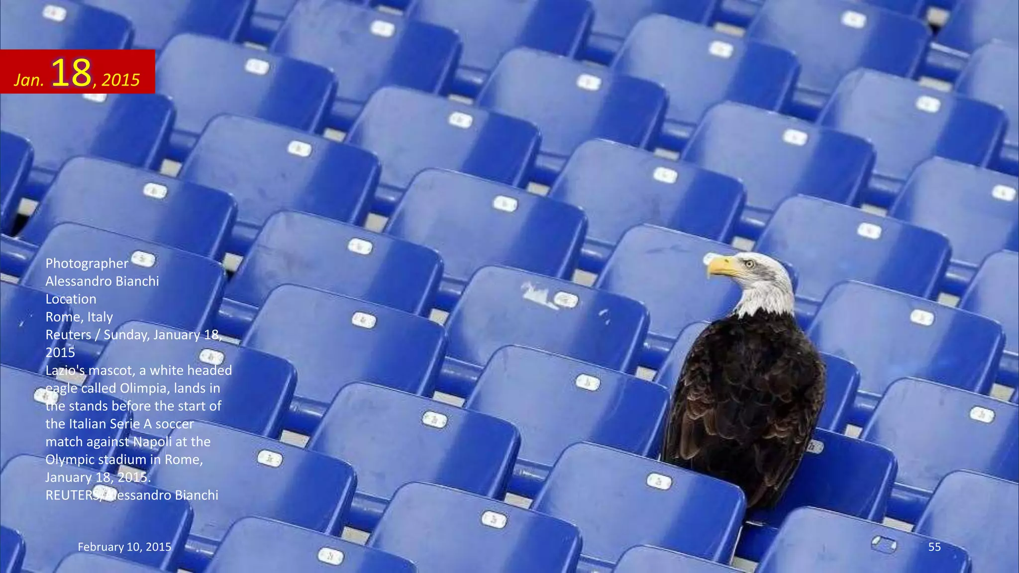 Photographer
Alessandro Bianchi
Location
Rome, Italy
Reuters / Sunday, January 18,
2015
Lazio's mascot, a white headed
eagle called Olimpia, lands in
the stands before the start of
the Italian Serie A soccer
match against Napoli at the
Olympic stadium in Rome,
January 18, 2015.
REUTERS/Alessandro Bianchi
Jan. 18, 2015
February 10, 2015 55
 