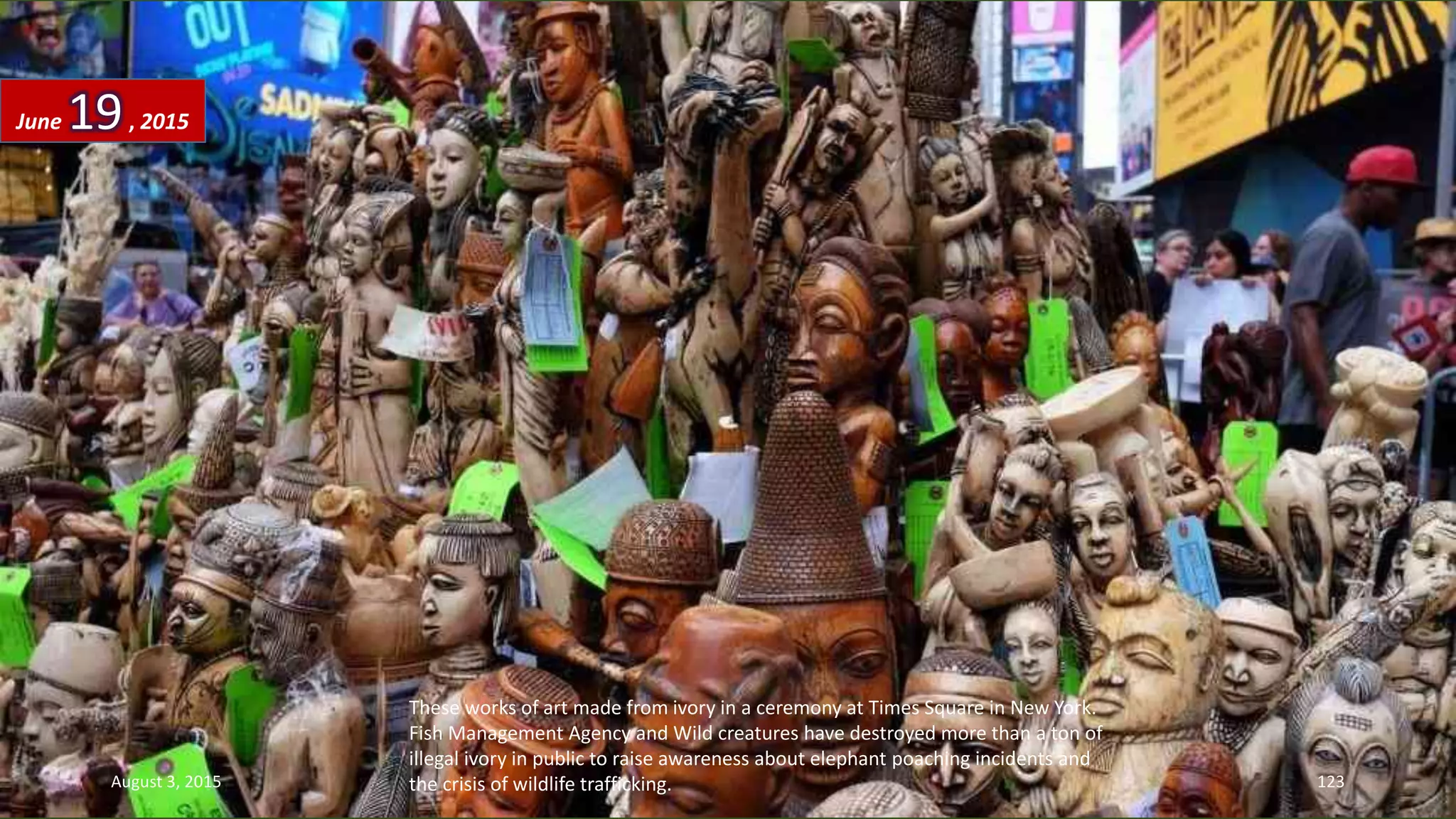 These works of art made from ivory in a ceremony at Times Square in New York.
Fish Management Agency and Wild creatures have destroyed more than a ton of
illegal ivory in public to raise awareness about elephant poaching incidents and
the crisis of wildlife trafficking.
June 19, 2015
August 3, 2015 123
 