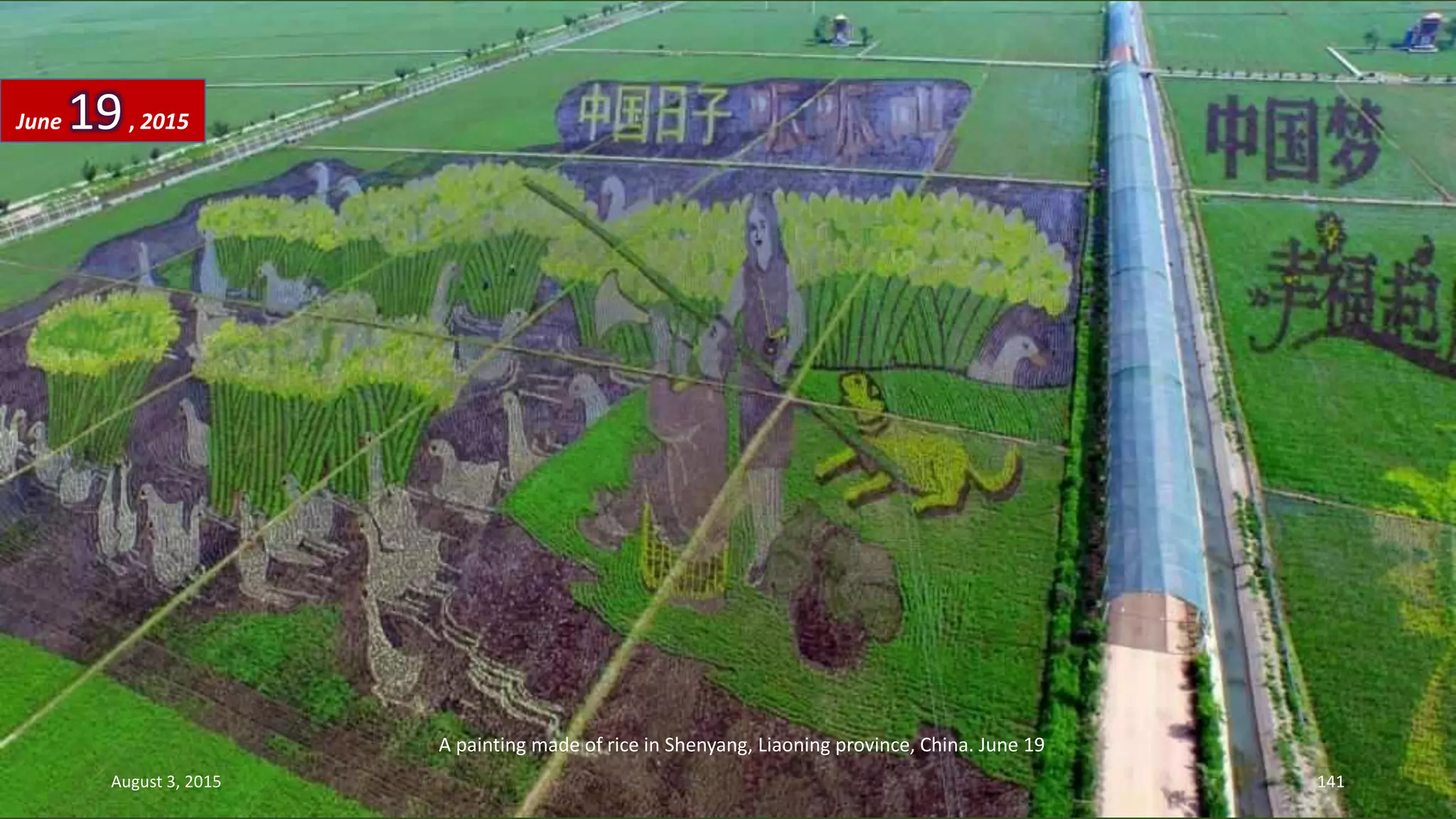 A painting made of rice in Shenyang, Liaoning province, China. June 19
June 19, 2015
August 3, 2015 141
 