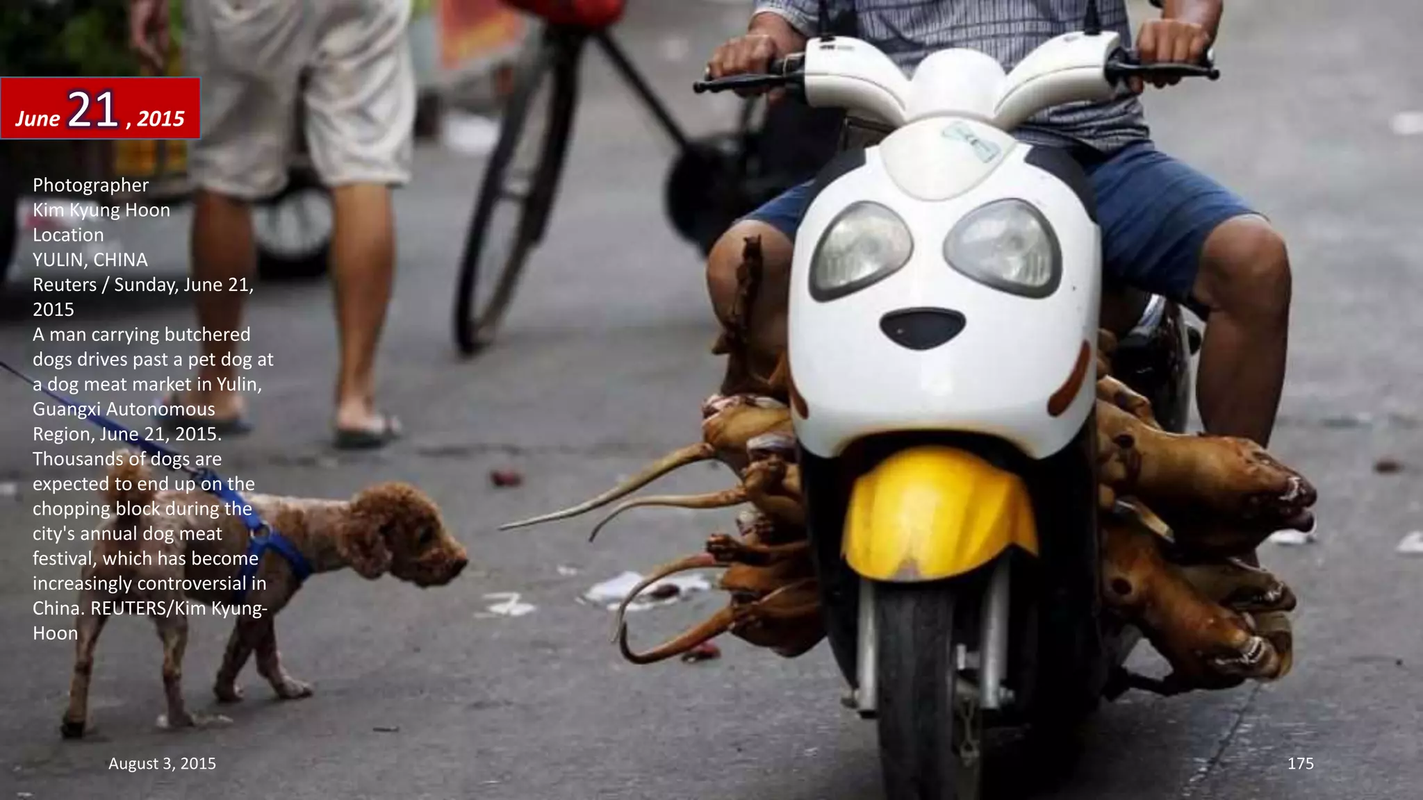 Photographer
Kim Kyung Hoon
Location
YULIN, CHINA
Reuters / Sunday, June 21,
2015
A man carrying butchered
dogs drives past a pet dog at
a dog meat market in Yulin,
Guangxi Autonomous
Region, June 21, 2015.
Thousands of dogs are
expected to end up on the
chopping block during the
city's annual dog meat
festival, which has become
increasingly controversial in
China. REUTERS/Kim Kyung-
Hoon
June 21, 2015
August 3, 2015 175
 