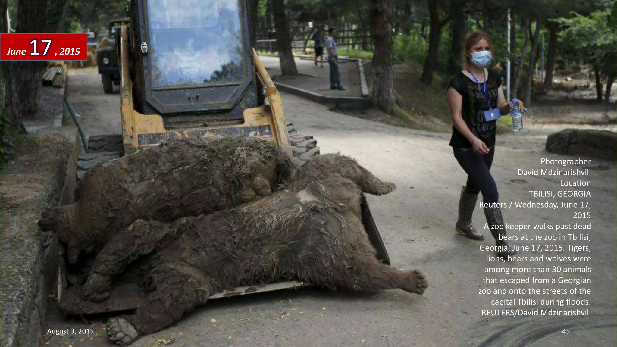 Photographer
David Mdzinarishvili
Location
TBILISI, GEORGIA
Reuters / Wednesday, June 17,
2015
A zoo keeper walks past dead
bears at the zoo in Tbilisi,
Georgia, June 17, 2015. Tigers,
lions, bears and wolves were
among more than 30 animals
that escaped from a Georgian
zoo and onto the streets of the
capital Tbilisi during floods.
REUTERS/David Mdzinarishvili
June 17, 2015
August 3, 2015 45
 
