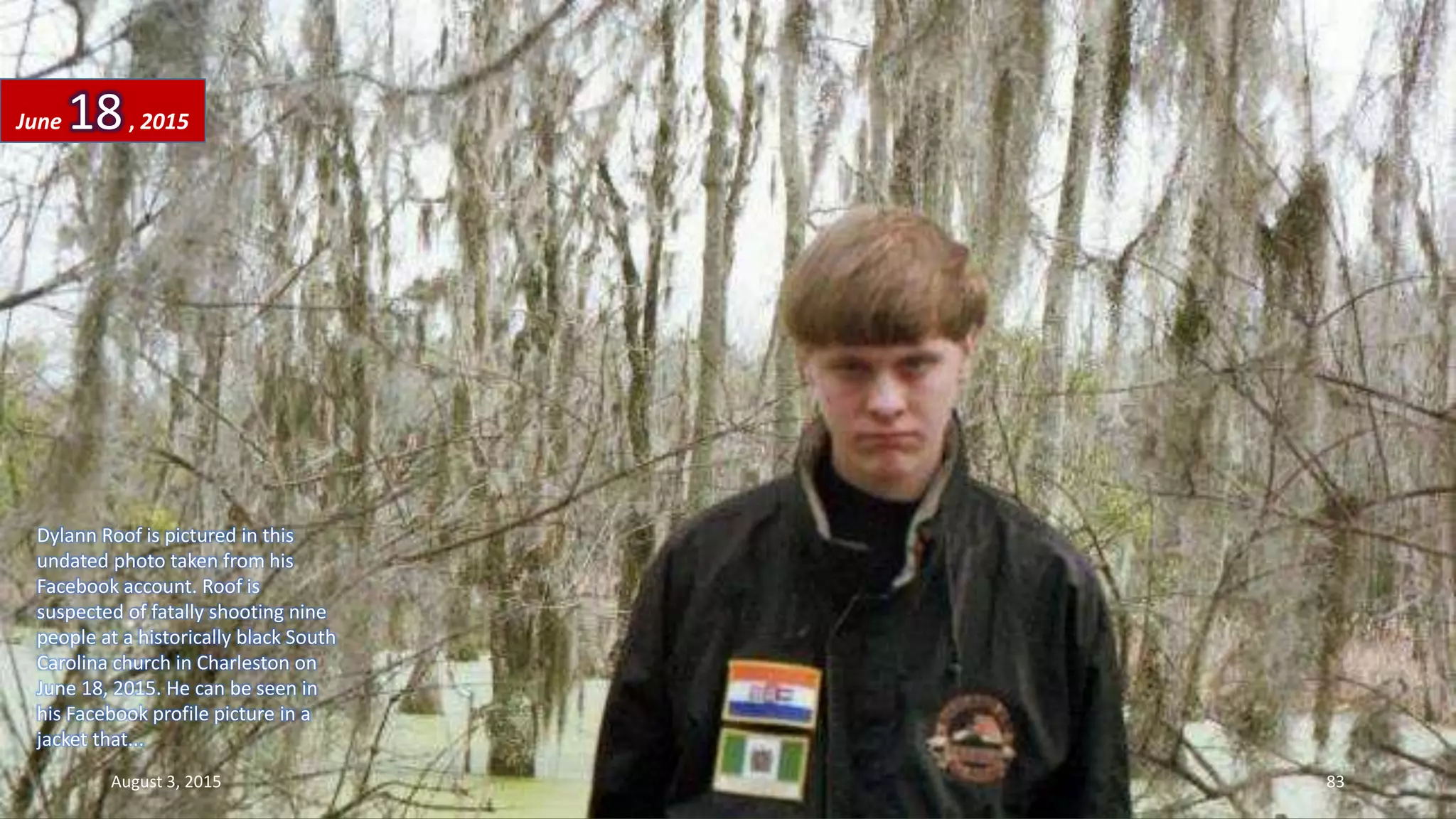 Dylann Roof is pictured in this
undated photo taken from his
Facebook account. Roof is
suspected of fatally shooting nine
people at a historically black South
Carolina church in Charleston on
June 18, 2015. He can be seen in
his Facebook profile picture in a
jacket that...
June 18, 2015
August 3, 2015 83
 