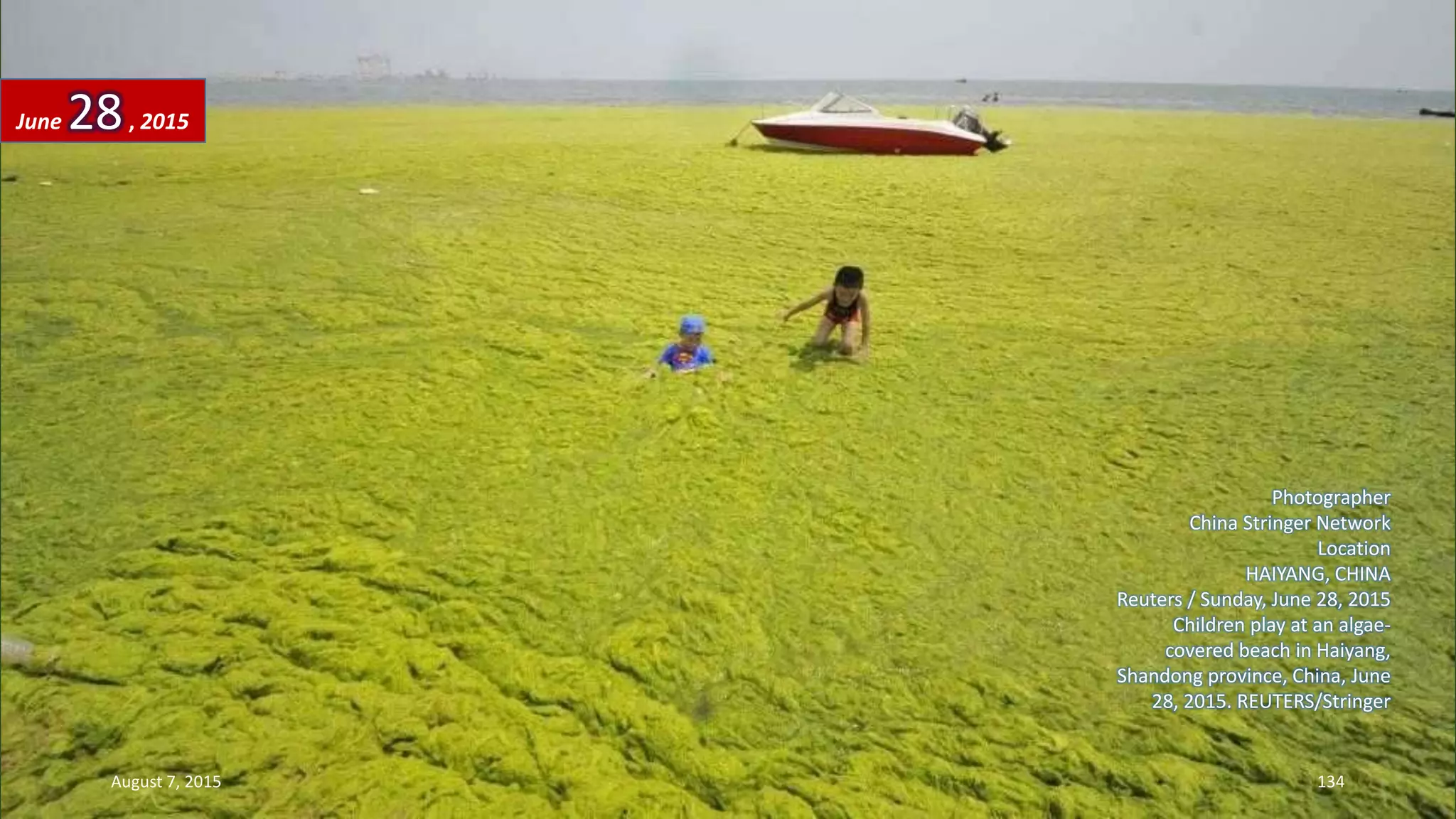 Photographer
China Stringer Network
Location
HAIYANG, CHINA
Reuters / Sunday, June 28, 2015
Children play at an algae-
covered beach in Haiyang,
Shandong province, China, June
28, 2015. REUTERS/Stringer
June 28, 2015
August 7, 2015 134
 