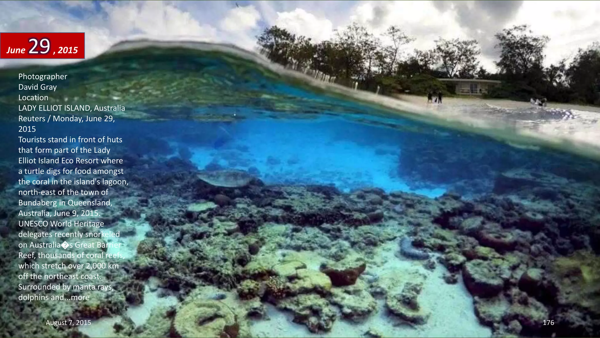 Photographer
David Gray
Location
LADY ELLIOT ISLAND, Australia
Reuters / Monday, June 29,
2015
Tourists stand in front of huts
that form part of the Lady
Elliot Island Eco Resort where
a turtle digs for food amongst
the coral in the island's lagoon,
north-east of the town of
Bundaberg in Queensland,
Australia, June 9, 2015.
UNESCO World Heritage
delegates recently snorkeled
on Australia�s Great Barrier
Reef, thousands of coral reefs,
which stretch over 2,000 km
off the northeast coast.
Surrounded by manta rays,
dolphins and...more
June 29, 2015
August 7, 2015 176
 
