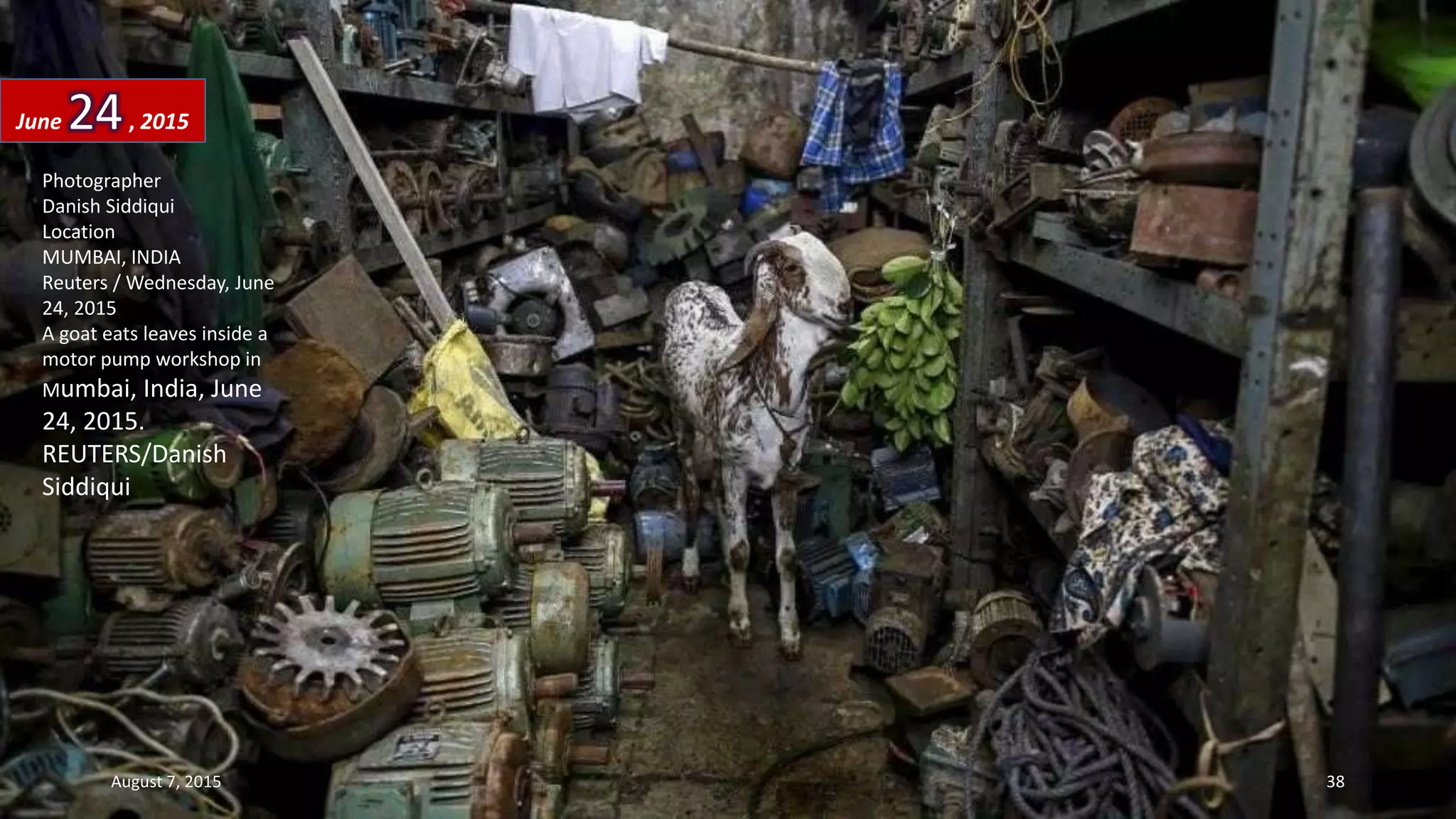 Photographer
Danish Siddiqui
Location
MUMBAI, INDIA
Reuters / Wednesday, June
24, 2015
A goat eats leaves inside a
motor pump workshop in
Mumbai, India, June
24, 2015.
REUTERS/Danish
Siddiqui
June 24, 2015
August 7, 2015 38
 