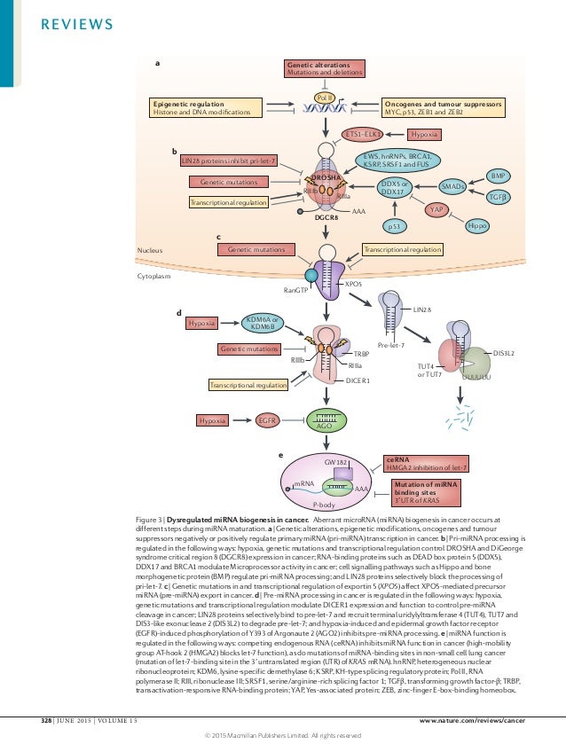 Nature Reviews Cancer Nature Reviews Cancer