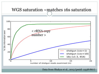 Data from Shakya et al., 2013 (pmid: 23387867)
WGS saturation ~matches 16s saturation
< rRNA copy
number >
 