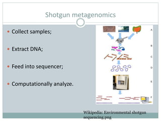 Shotgun metagenomics
 Collect samples;
 Extract DNA;
 Feed into sequencer;
 Computationally analyze.
Wikipedia: Environmental shotgun
sequencing.png
 