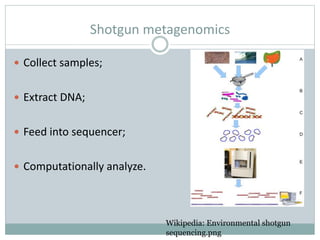Shotgun metagenomics
 Collect samples;
 Extract DNA;
 Feed into sequencer;
 Computationally analyze.
Wikipedia: Enviro...