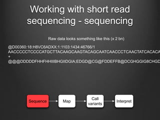 Working with short read
sequencing - sequencing
Sequence Map
Call
variants
Interpret
@D00360:18:H8VC6ADXX:1:1103:1434:46766/1
AACCCCCTCCCCATGCTTACAAGCAAGTACAGCAATCAACCCTCAACTATCACACA
+
@@@DDDDDFHHFHHIIIBHGIIDGIA;EDGD@CG@FDDEFFB@DCGHGGIG8CHGD
Raw data looks something like this (x 2 bn)
 