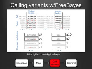 Calling variants w/FreeBayes
https://github.com/ekg/freebayes
Sequence Map
Call
variants
Interpret
 