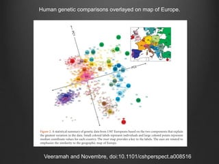 Veeramah and Novembre, doi:10.1101/cshperspect.a008516
Human genetic comparisons overlayed on map of Europe.
 