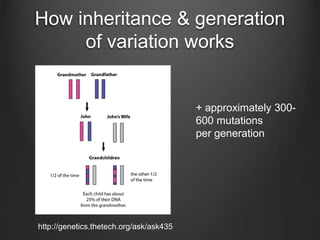 How inheritance & generation
of variation works
http://genetics.thetech.org/ask/ask435
+ approximately 300-
600 mutations
per generation
 
