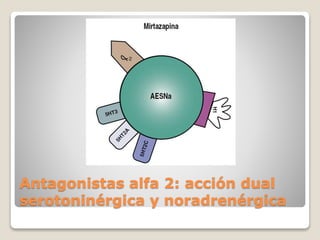 Antagonistas alfa 2: acción dual
serotoninérgica y noradrenérgica
 