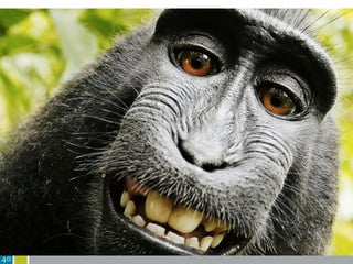 Fall 2: ContentID
40
Datenbank von Audio-Inhalten und
Rechteinhabern
Algorithmische Identifikation von
Tonspuren bei Upload
Rechteinhaber entscheidet
* Genehmigung
* Monetarisierung
* Sperrung
Implikationen
* Fair Use / Schranken?
* Private Rechtssetzung?
 