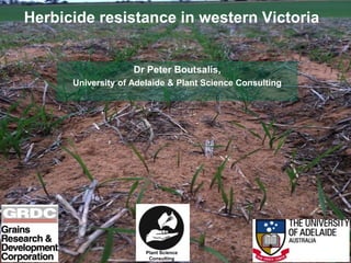 Herbicide resistance in western Victoria
Dr Peter Boutsalis,
University of Adelaide & Plant Science Consulting
Plant Science
Consulting
 