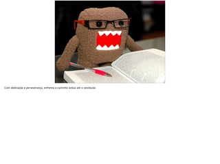 Com dedicação e perseverança, enfrenta o caminho árduo até o vestibular.
 