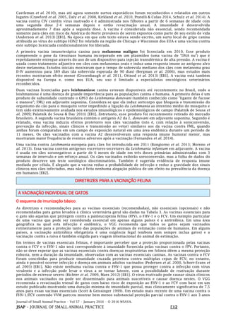Journal of Small Animal Practice • Vol 57 • January 2016 • © 2016 WSAVA.
JSAP – JOURNAL OF SMALL ANIMAL PRACTICE E12
Castleman et al. 2010), mas até agora somente surtos esporádicos foram reconhecidos e relatados em outros
lugares (Crawford et al. 2005, Daly et al. 2008, Kirkland et al. 2010, Pratelli & Colao 2014, Schulz et al. 2014). A
vacina contra CIV contém vírus inativado e é administrada nos filhotes a partir de 6 semanas de idade com
uma segunda dose 2-4 semanas depois e então revacinação anual. A imunidade é desenvolvida
aproximadamente 7 dias após a segunda dose. A vacina é considerada não essencial, sendo recomendada
somente para cães em risco da América do Norte prováveis de serem expostos como parte de seu estilo de vida
(Anderson et al. 2013) [EB1]. Na época em que este texto estava sendo escrito, um surto local de gripe canina
atribuída ao vírus do subtipo H3N2 foi relatado na região de Chicago e Wisconsin dos EUA e uma vacina contra
este subtipo licenciada condicionalmente foi liberada.
A primeira vacina imunoterápica canina para melanoma maligno foi licenciada em 2010. Esse produto
compreende o gene da tirosinase humana incorporado em um plasmídeo (uma vacina de "DNA nu") que é
repetidamente entregue através do uso de um dispositivo para injeção transdérmica de alta pressão. A vacina é
usada como tratamento adjuntivo em cães com melanomas orais e induz uma resposta imune ao antígeno alvo
deste melanoma. Estudos iniciais mostraram que o tempo de sobrevida mediano dos cães com melanoma grau
II-IV aumentou para 389 dias (da sobrevida esperada de 90 dias) (Bergman et al. 2006), mas estudos mais
recentes mostraram efeito menor (Grosenbaugh et al. 2011, Ottnod et al. 2013) [EB1]. A vacina está também
disponível na Europa e, como nos EUA, seu uso é limitado a especialistas oncológicos veterinários
reconhecidos.
Duas vacinas licenciadas para leishmaniose canina estavam disponíveis até recentemente no Brasil, onde a
leishmaniose é uma doença de grande importância para as populações canina e humana. A primeira delas é um
produto de subunidade contendo o GP63 do Leishmania donovani (também conhecido como "ligante de fucose
e manose"; FML) em adjuvante saponina. Considera-se que ela induz anticorpo que bloqueia a transmissão do
organismo do cão para o mosquito vetor impedindo a ligação da Leishmania ao intestino médio do mosquito e
tem sido extensivamente avaliada nos estudos imunológicos e epidemiológicos de campo (Palatnik de Sousa et
al. 2009; Palatnik de Sousa & Day 2011) [EB1]. Entretanto, esse produto foi recentemente retirado do mercado
brasileiro. A segunda vacina brasileira contém o antígeno A2 da L. donovani em adjuvante saponina. Segundo é
relatado, essa vacina induziu efeitos protetores nos cães vacinados (isto é, com relação à soroconversão,
prevenção da infecção, sinais clínicos e transmissão ao vetor) similares aos da vacina contra FML, quando
ambas foram comparadas em um campo de exposição natural em uma área endêmica durante um período de
11 meses. Os cães vacinados com a vacina A2 desenvolveram uma resposta imune humoral menor, mas
mostraram maior frequência de eventos adversos após a vacinação (Fernandes et al. 2014).
Uma vacina contra Leishmania europeia para cães foi introduzida em 2011 (Bongiorno et al. 2013; Moreno et
al. 2013). Essa vacina contém antígenos excretores-secretores da Leishmania infantum em adjuvante. A vacina
é usada em cães soronegativos a partir de 6 meses de idade em três doses primárias administradas com 3
semanas de intervalo e um reforço anual. Os cães vacinados exibirão soroconversão, mas a folha de dados do
produto descreve um teste sorológico discriminatório. Também é sugerida evidência de resposta imune
mediada por célula. É alegado que a vacina reduz a probabilidade de infecção e reduz a gravidade dos sinais
clínicos nos cães infectados, mas não é feita nenhuma alegação pública de um efeito na prevalência da doença
em humanos [EB2].
DIRETRIZES PARA A VACINAÇÃO FELINA
A VACINAÇÃO INDIVIDUAL DE GATOS
O esquema de imunização básico
As diretrizes e recomendações para as vacinas essenciais (recomendadas), não essenciais (opcionais) e não
recomendadas para gatos levados à clínica veterinária geral são dadas na Tabela 3. As vacinas essenciais para
o gato são aquelas que protegem contra a panleucopenia felina (FPV), o FHV-1 e o FCV. Um exemplo particular
de uma vacina que pode ser considerada essencial em apenas alguns países é a antirrábica. Em uma área
geográfica na qual esta infecção é endêmica, o VGG recomenda que todos os gatos sejam vacinados
rotineiramente para a proteção tanto das populações de animais de estimação como de humanos. Em alguns
países, a vacinação antirrábica obrigatória é uma exigência legal (embora nem sempre inclua gatos) e a
vacinação contra a raiva é também exigida para viagem internacional do animal de estimação.
Em termos de vacinas essenciais felinas, é importante perceber que a proteção proporcionada pelas vacinas
contra o FCV e o FHV-1 não será correspondente à imunidade fornecida pelas vacinas contra o FPV. Portanto,
não se deve esperar que as vacinas essenciais contra doenças respiratórias em felinos dêem a mesma proteção
robusta, nem a duração da imunidade, observadas com as vacinas essenciais caninas. As vacinas contra o FCV
foram concebidas para produzir imunidade cruzada protetora contra múltiplas cepas de FCV; no entanto,
ainda é possível ocorrer infecção e doença em animais adultos vacinados (Pedersen et al. 2000, Schorr-Evans et
al. 2003) [EB1]. Não existe nenhuma vacina contra o FHV-1 que possa proteger contra a infecção com vírus
virulento e a infecção pode levar o vírus a se tornar latente, com a possibilidade de reativação durante
períodos de estresse severo (Richter et al. 2009, Maes 2012) [EB1]. O vírus reativado pode causar sinais clínicos
nos animais vacinados ou pode ser disseminado para animais suscetíveis e causar doença nestes. O VGG
recomenda a revacinação trienal de gatos com baixo risco de exposição ao FHV-1 e ao FCV com base em um
estudo publicado mostrando uma duração mínima de imunidade parcial, mas clinicamente significativa de 7,5
anos para essas vacinas essenciais (Scott & Geissinger 1999). Um estudo mais recente de uma vacina contra o
FHV-1/FCV contendo VVM pareceu mostrar bem menos substancial proteção parcial contra o FHV-1 aos 3 anos
 