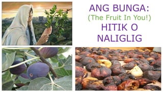 ANG BUNGA:
(The Fruit In You!)
HITIK O
NALIGLIG
 