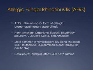 Comprehensive Overview of Fungal Sinusitis and Benign Sinonasal Tumors ...