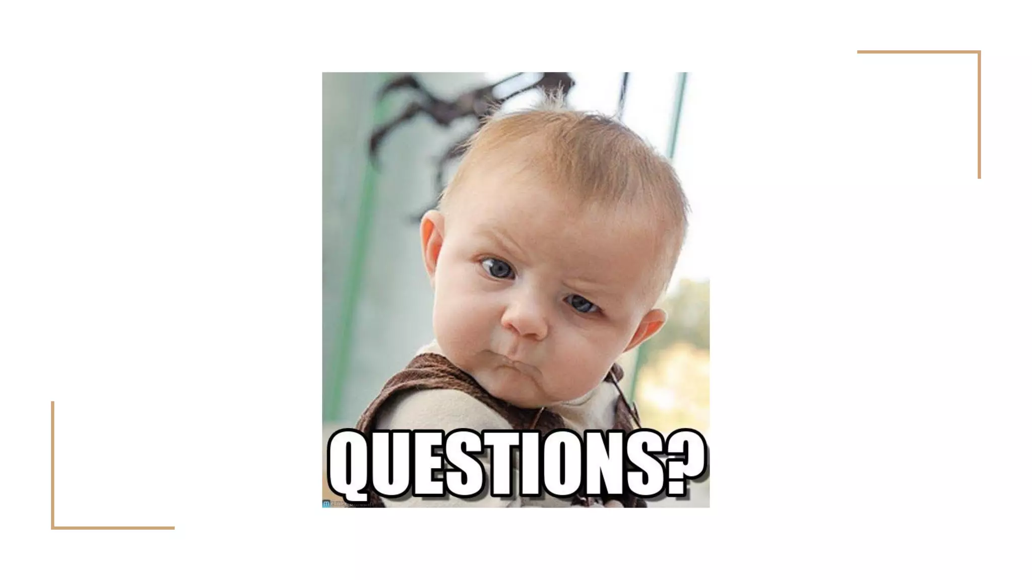 Programmation fonctionnelle en JavaScript