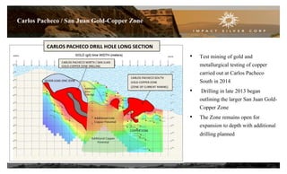12
Carlos Pacheco / San Juan Gold-Copper Zone
• Test mining of gold and
metallurgical testing of copper
carried out at Carlos Pacheco
South in 2014
• Drilling in late 2013 began
outlining the larger San Juan Gold-
Copper Zone
• The Zone remains open for
expansion to depth with additional
drilling planned
 