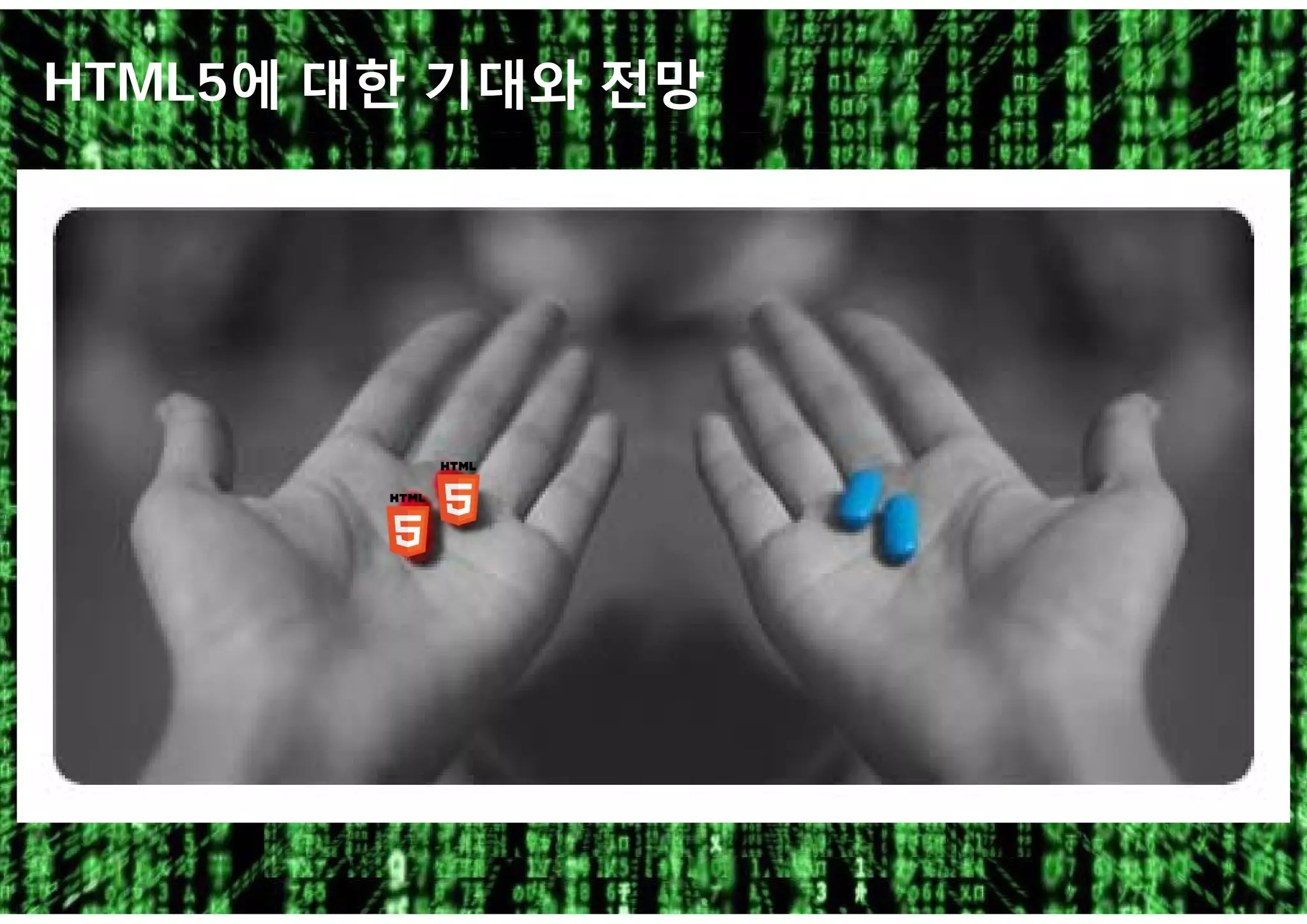 12
HTML5에 대한 기대와 전망
 