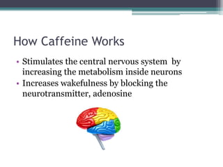 How Caffeine Works
• Stimulates the central nervous system by
increasing the metabolism inside neurons
• Increases wakefulness by blocking the
neurotransmitter, adenosine
 