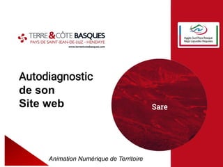 Autodiagnostic
de son
Site web
Animation Numérique de Territoire
Sare
 
