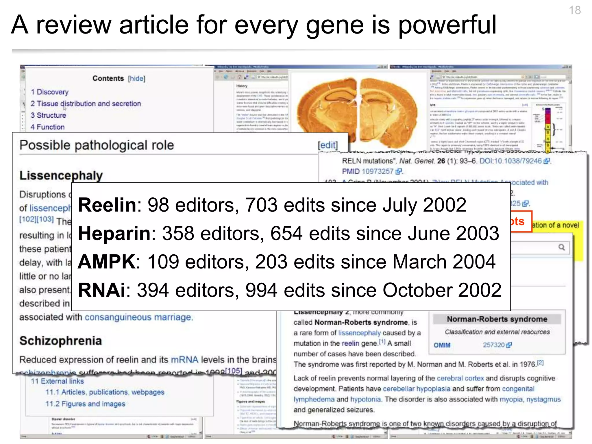 A review article for every gene is powerful
18
References to the literature
Hyperlinks to related concepts
Reelin: 98 editors, 703 edits since July 2002
Heparin: 358 editors, 654 edits since June 2003
AMPK: 109 editors, 203 edits since March 2004
RNAi: 394 editors, 994 edits since October 2002
 