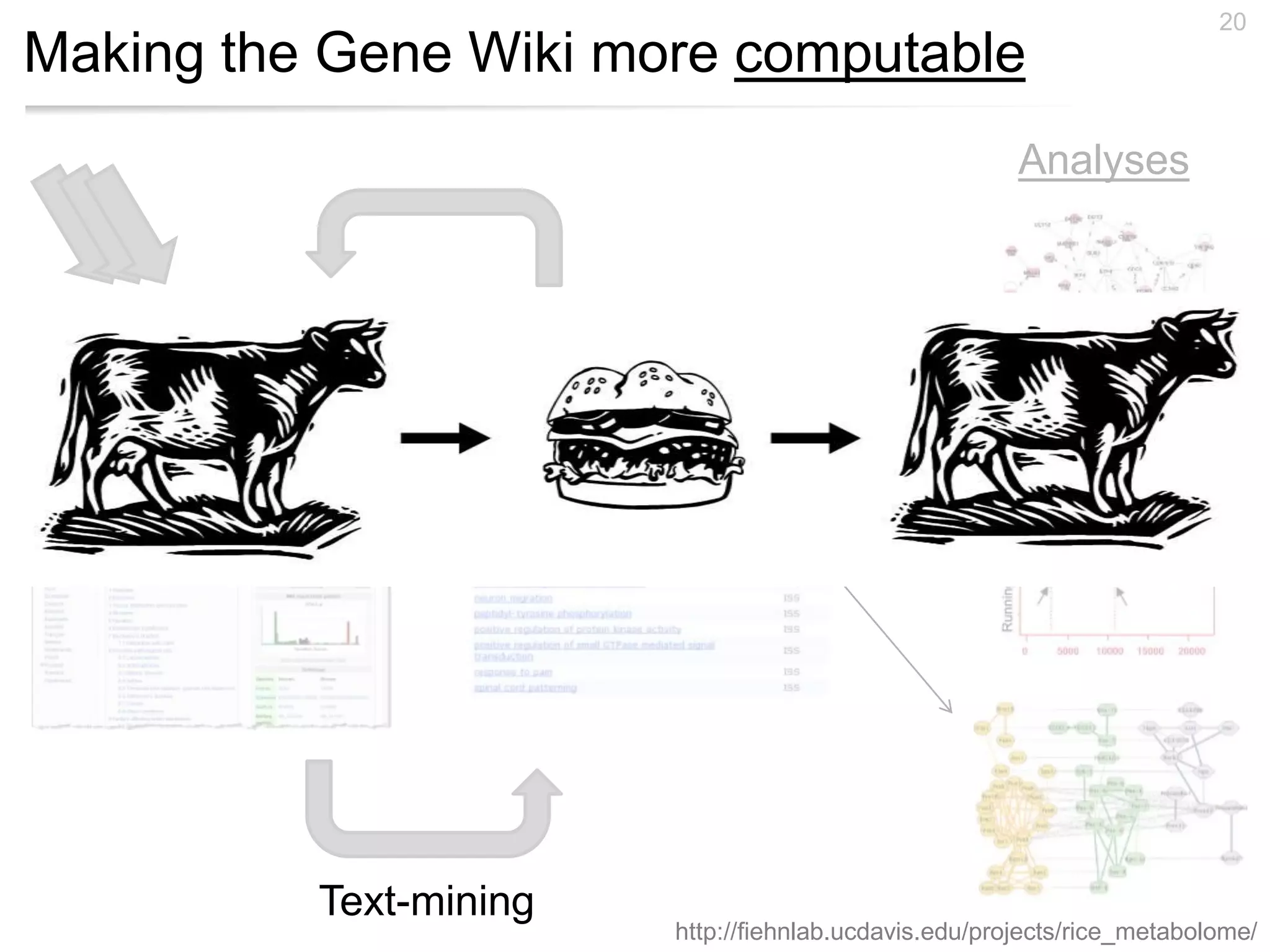 Making the Gene Wiki more computable
20
Structured annotationsFree text
Analyses
Text-mining
http://fiehnlab.ucdavis.edu/projects/rice_metabolome/
 