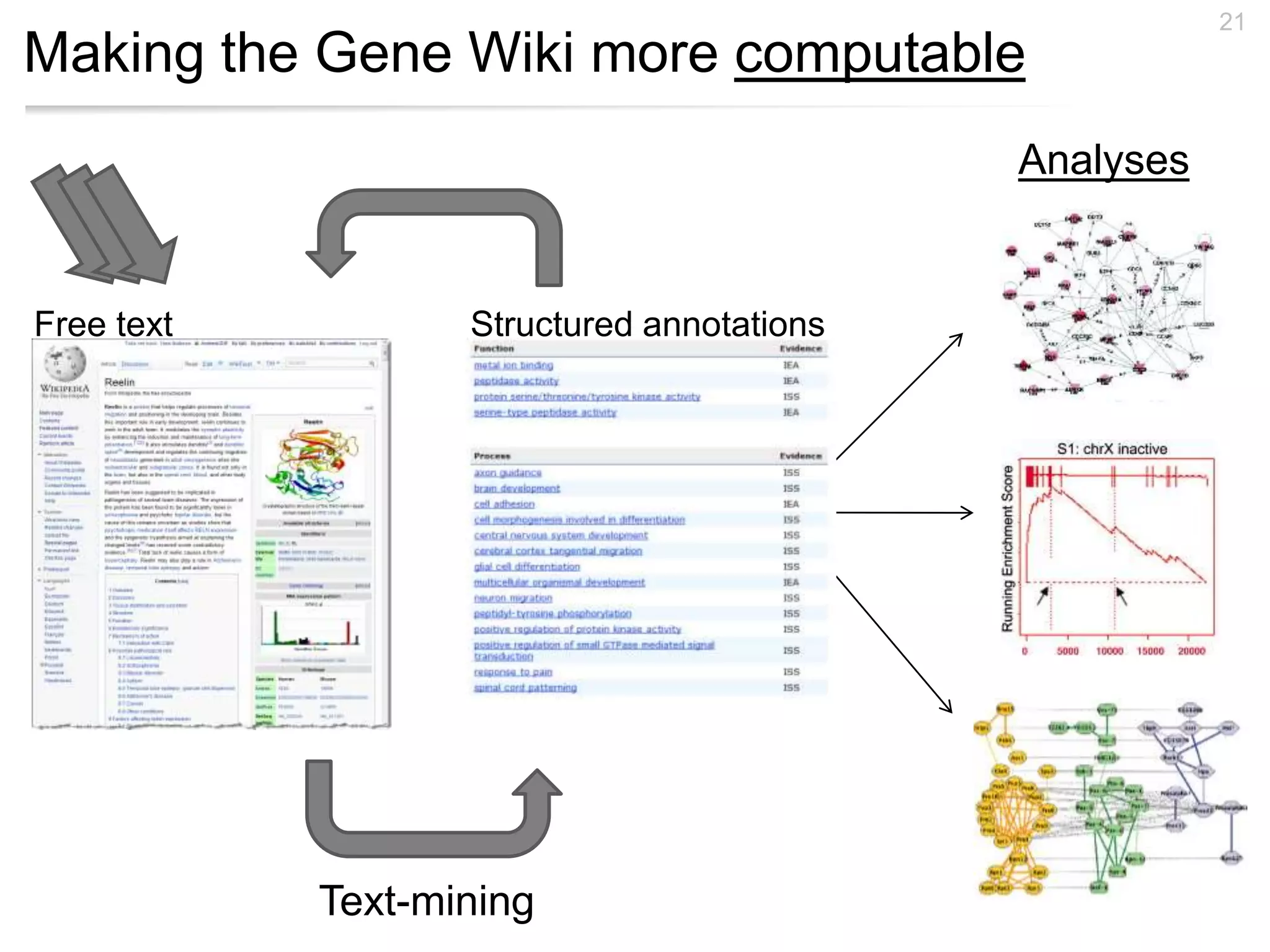 Making the Gene Wiki more computable
21
Structured annotationsFree text
Analyses
Text-mining
 