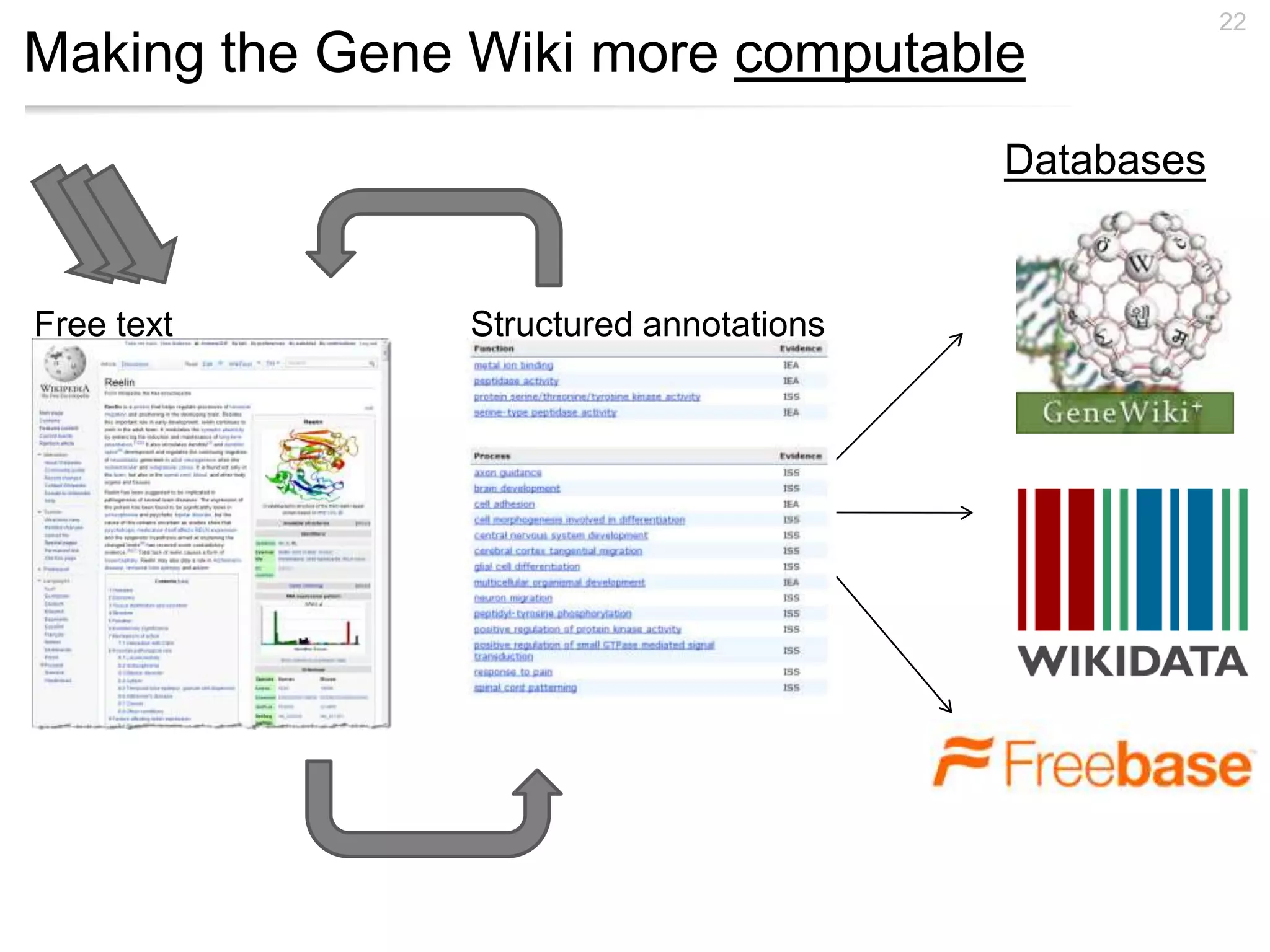Making the Gene Wiki more computable
22
Structured annotationsFree text
Databases
 