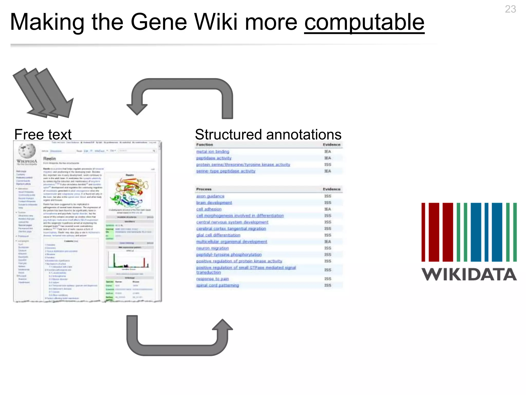 Making the Gene Wiki more computable
23
Structured annotationsFree text
 