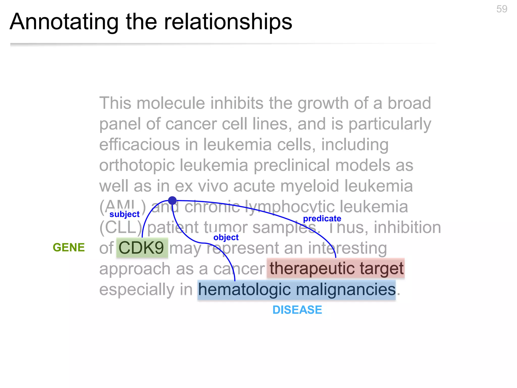 Annotating the relationships
59
This molecule inhibits the growth of a broad
panel of cancer cell lines, and is particularly
efficacious in leukemia cells, including
orthotopic leukemia preclinical models as
well as in ex vivo acute myeloid leukemia
(AML) and chronic lymphocytic leukemia
(CLL) patient tumor samples. Thus, inhibition
of CDK9 may represent an interesting
approach as a cancer therapeutic target
especially in hematologic malignancies.
therapeutic target
subject
predicate
object
GENE
DISEASE
 