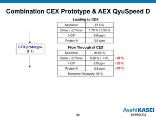 New Hollow Fiber Membranes for AEX and CEX in Flow-Through Mode | PDF