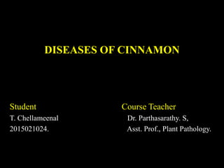 DISEASES OF CINNAMON
Student Course Teacher
T. Chellameenal Dr. Parthasarathy. S,
2015021024. Asst. Prof., Plant Pathology.
 