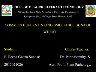 COLLEGE OFAGRICULTURAL TECHNOLOGY
(Affiliated to Tamil Nadu Agricultural University, Coimbatore-3)
Kullapuram (Po), Via Vaigai Dam, Theni-625 562
COMMON BUNT/ STINKING SMUT/ HILL BUNT OF
WHEAT
Student: Course Teacher:
P. Deepa Gnana Sundari Dr. Parthasarathy .S
2015021026 Asst. Prof., Plant Pathology.
 